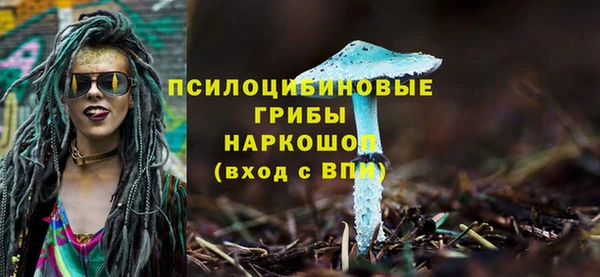 ALPHA-PVP Аркадак