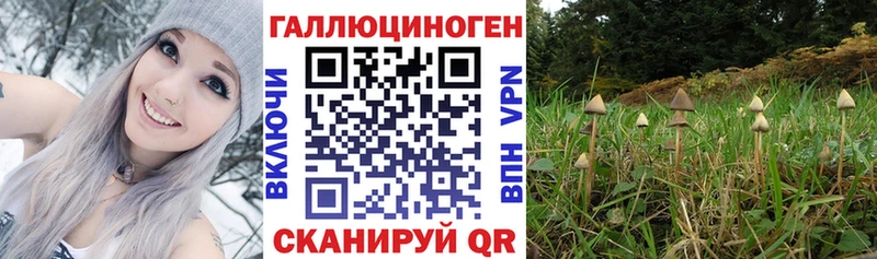 blacksprut ссылки  Любань  Псилоцибиновые грибы прущие грибы 